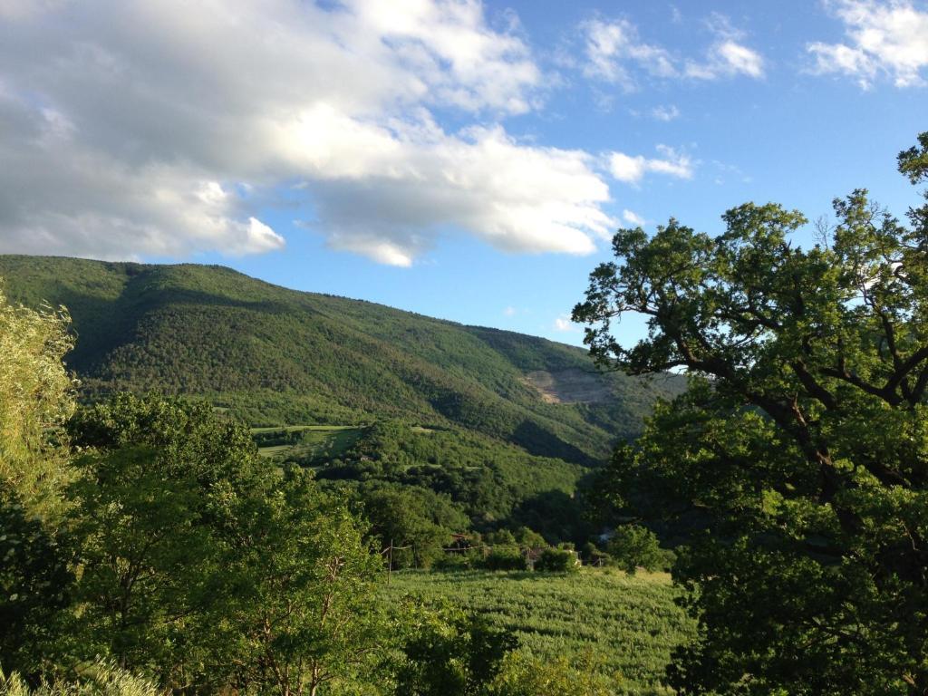 Agriturismo Nizzi Villa Asís Exterior foto
